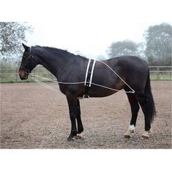 Shires Lunging Aid