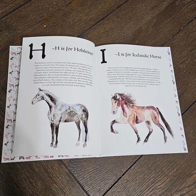 Sona Equestrian ABC Horse Breeds image number null
