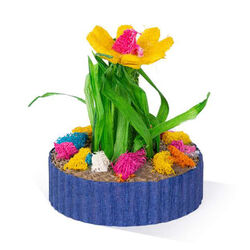 Prevue Pet Succulent Mini Garden - Assorted Colors