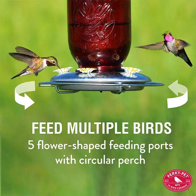 Perky-Pet Red Mason Jar Hummingbird Feeder image number null
