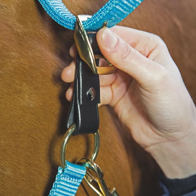 Shires Replacement Leather Strap for Breakaway Halters image number null