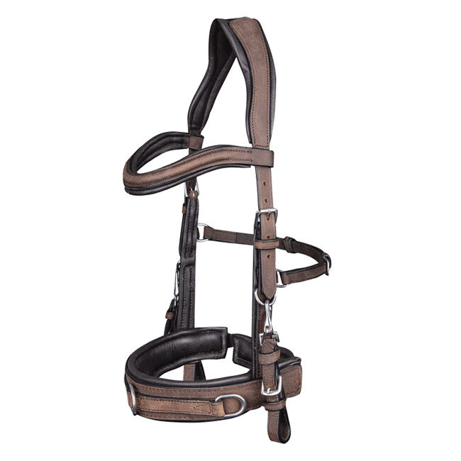 Waldhausen Anatomic Cavesson image number null