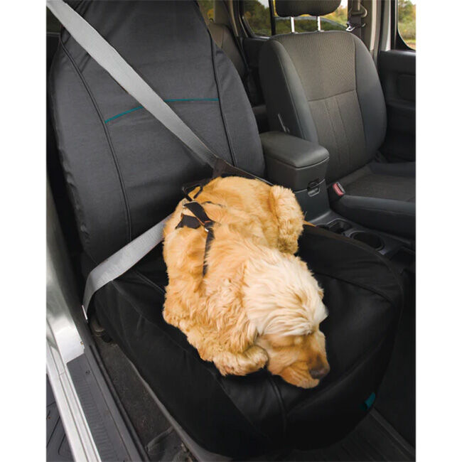 Kurgo CoPilot Bucket Seat Cover - Black image number null