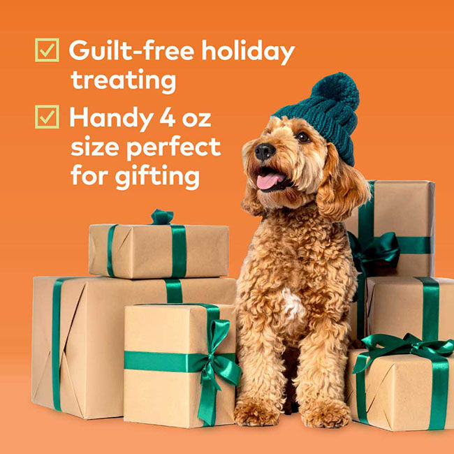 Honest to Goodness Plant Snacks Howliday Treats - Pumpkin Spice Recipe - 4 oz image number null