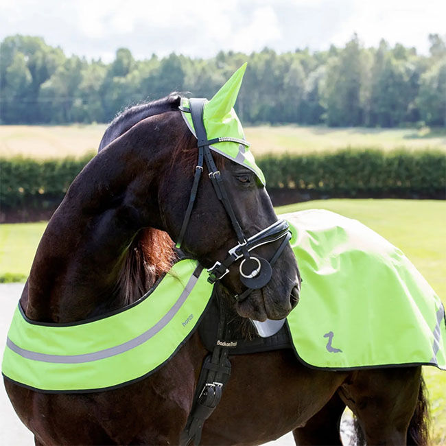 Horze Reflective Harness - Yellow image number null
