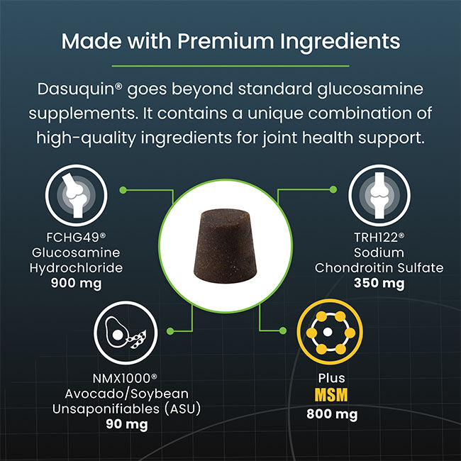 Nutramax Dasuquin for Large Dogs, Joint Health Supplement, Contains Glucosamine for Dogs, Plus Chondroitin, ASU, MSM and More, Supports Healthy Joints, Soft Chews image number null