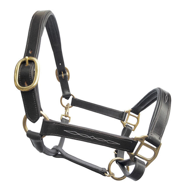 Tory Leather Fancy Stitch Padded Leather Halter image number null