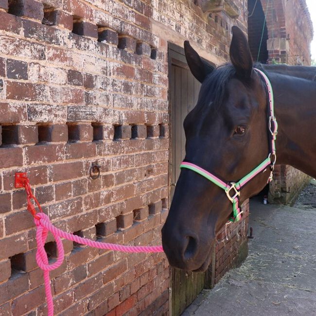 Perry Equestrian SafeTies image number null