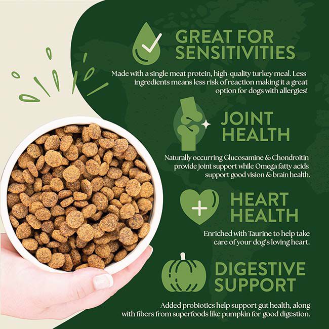 Earthborn Holistic Venture Limited Ingredient Dog Food - Turkey Meal & Pumpkin Recipe image number null