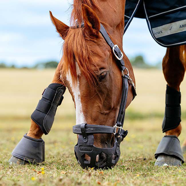 LeMieux Noma Grazing Muzzle - Black image number null