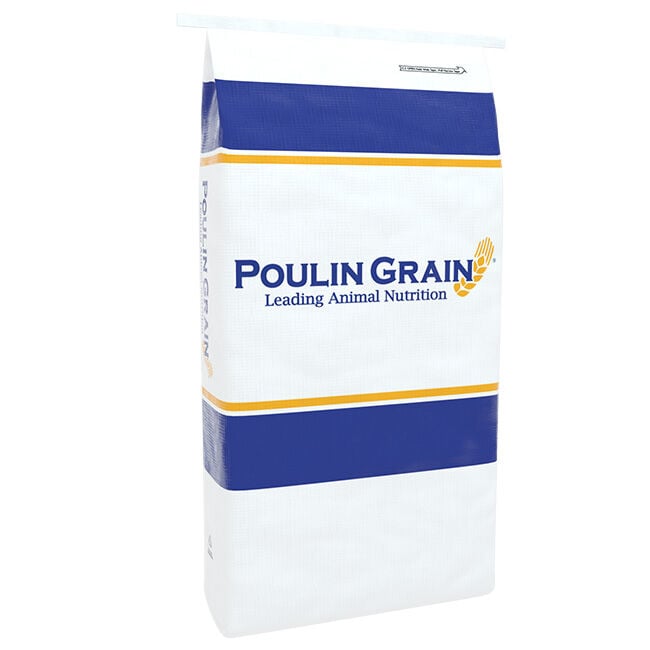 Poulin Grain Cattle 40 Show Pellet - 50 lb image number null