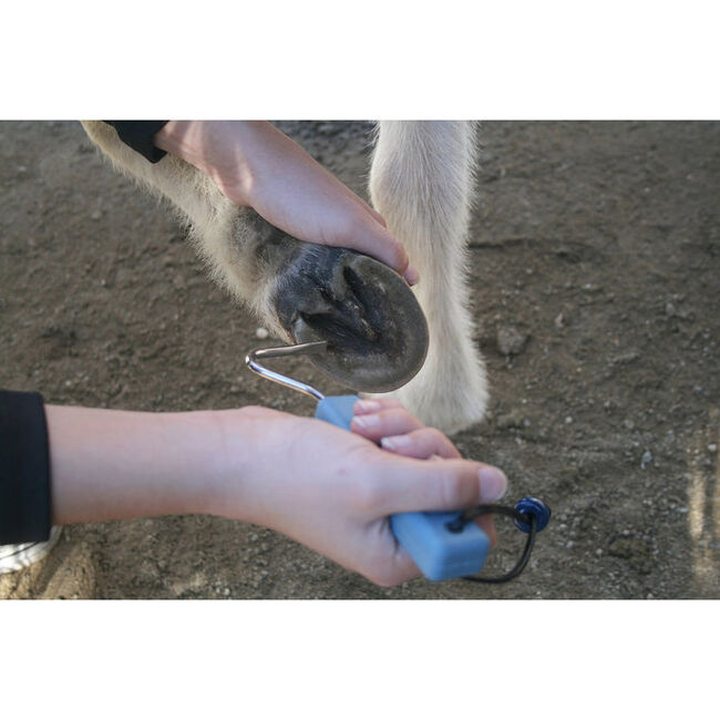 Epona Winning Hoof Pick image number null
