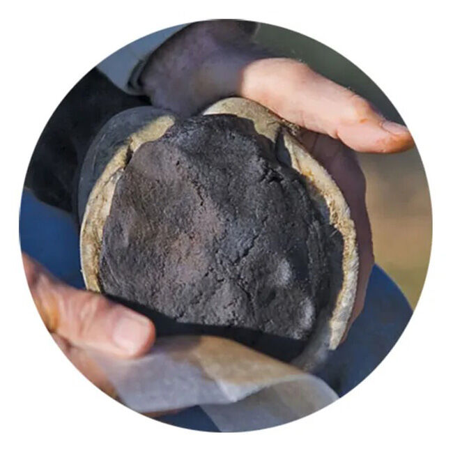 Hawthorne Sole Pack Medicated Hoof Packing Paddies image number null