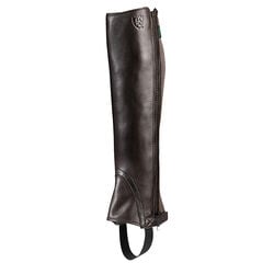 Ariat Breeze Half Chaps - Chocolate