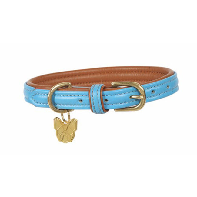 Shires Digby & Fox Padded Leather Dog Collar - Closeout image number null
