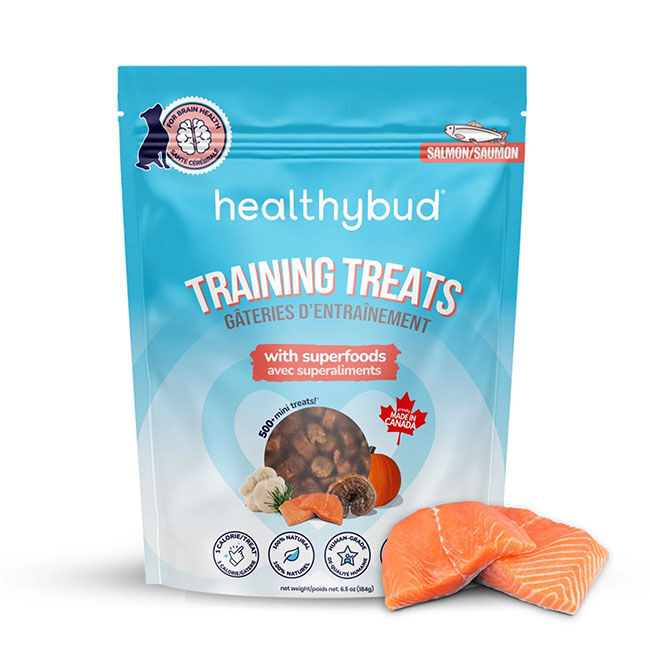 HealthyBud Mini Training Treats - Salmon Recipe - 6.5 oz image number null