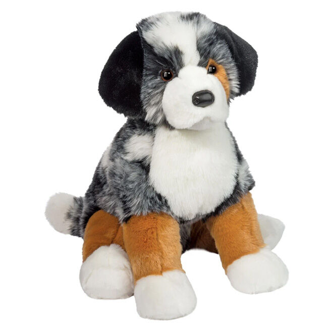 Douglas Aspen the Australian Shepherd image number null