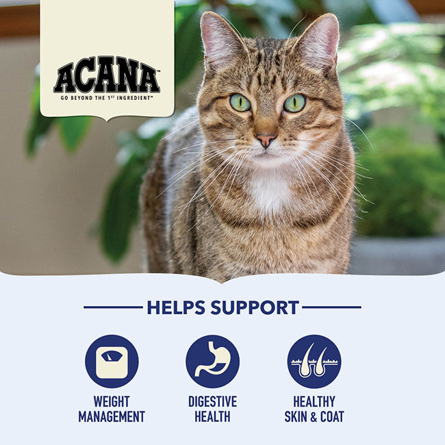 ACANA Cat Indoor Entr&eacute;e Recipe with Fish image number null