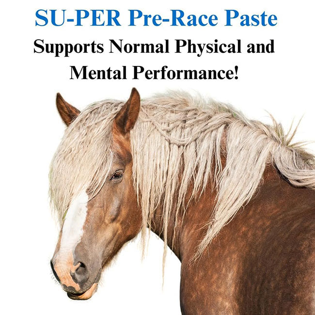 Gateway Products SU-PER Pre-Race Paste - 4-Pack of 60 cc Syringes image number null