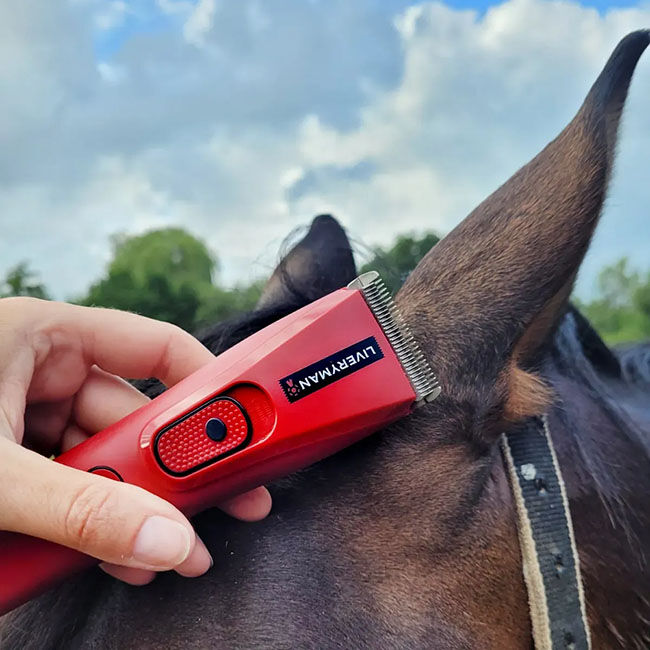 Liveryman Nova Professional Horse Trimmer image number null