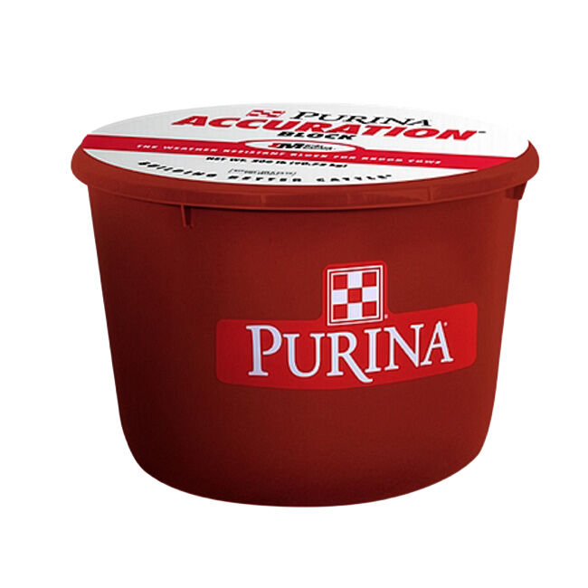 Purina Mills Accuration Hi-Fat Block - 200 lb image number null