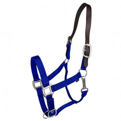 Gatsby Classic Nylon Breakaway Halter with Snap - Royal Blue