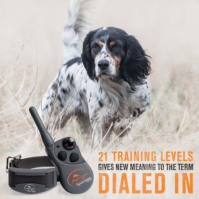 SportDOG FieldTrainer 425X image number null