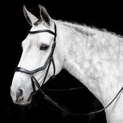 Horseware Micklem Bitless Bridle