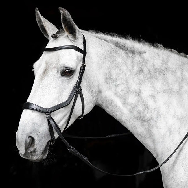 Horseware Micklem Bitless Bridle image number null