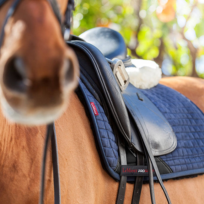 LeMieux Sensitive Dressage Pad - Navy image number null