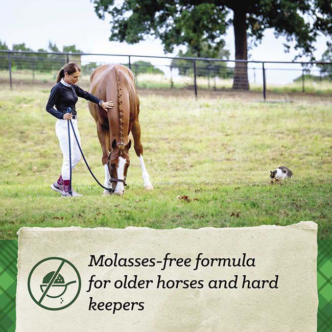 Nutrena SafeChoice Senior Molasses Free - 50 lb image number null