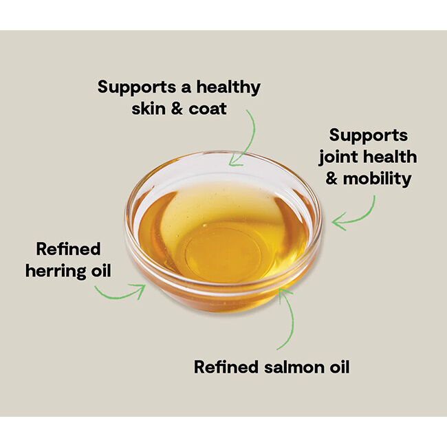 Open Farm Icelandic Herring & Salmon Oil for Dogs - 16.9 oz image number null