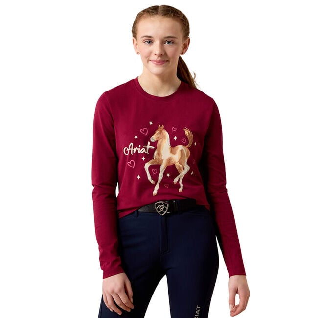 Ariat Kids' Painted Dream T-Shirt - Beet Red image number null