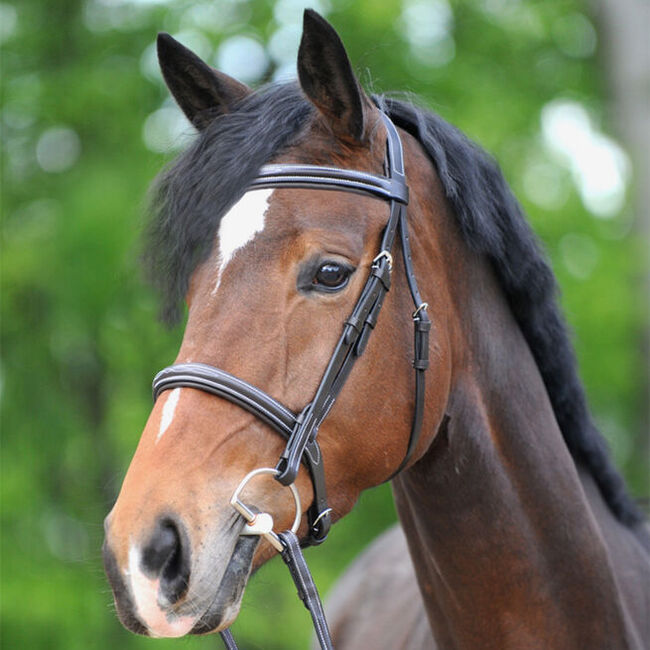 Kavalkade Akila Hunter Bridle image number null