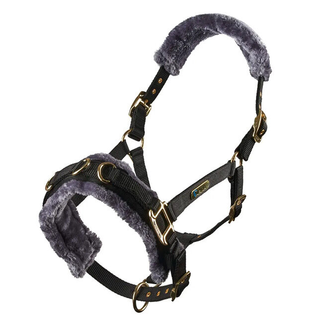 Shires Fleece-Lined Lunge Cavesson - Black image number null