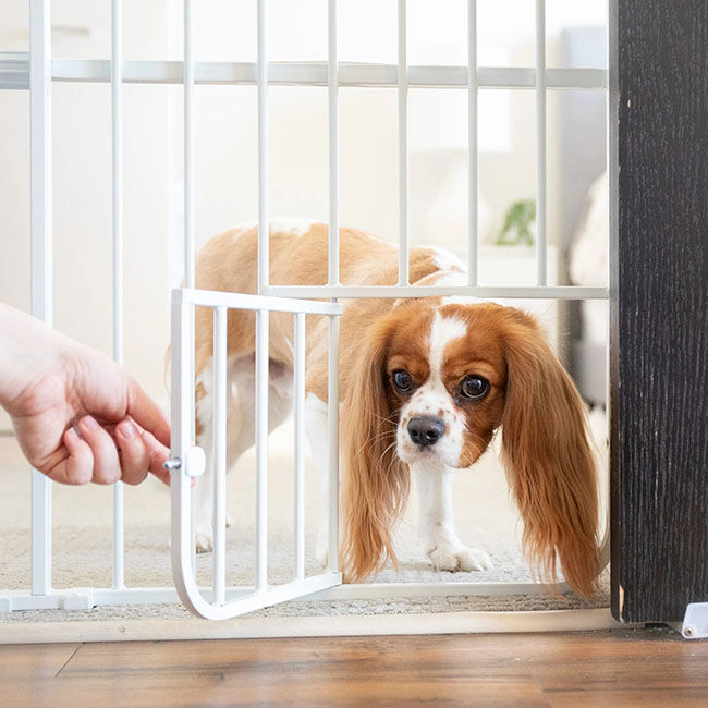 Carlson Tuffy Expandable Gate with Small Pet Door - Closeout image number null