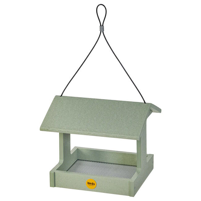 Birds Choice Recycled Plastic Fly-Thru Feeder in Sage Green image number null