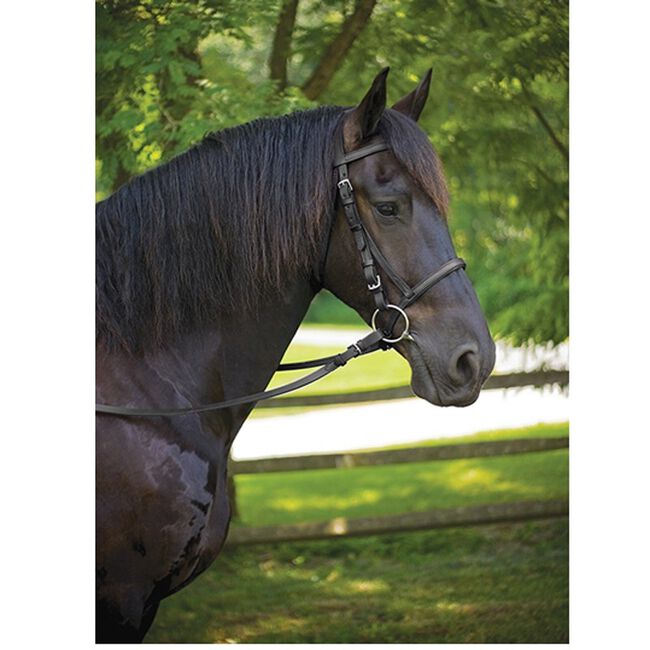 Perri's Draft American Made Leather Bridle Black image number null