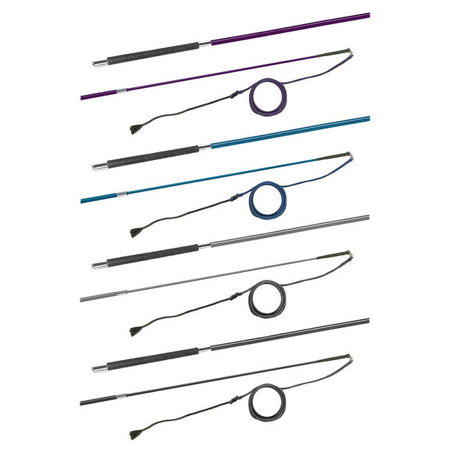 FLECK 2-Part Telescopic Lunging Whip - Assorted Colors image number null