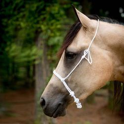 Lami-Cell Rope Noseband - White