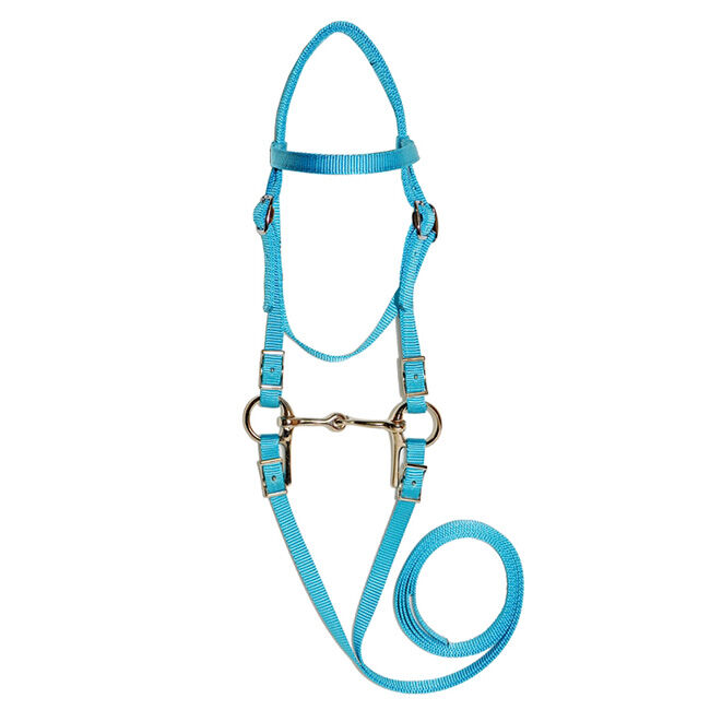 Triple E Mini Bridle image number null