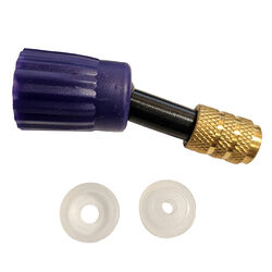 Weaver Livestock Replacement Brass Nozzle for Pump Sprayer