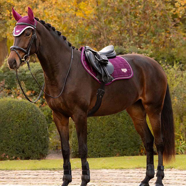 LeMieux Loire Classic Close Contact Pad - Blackberry image number null