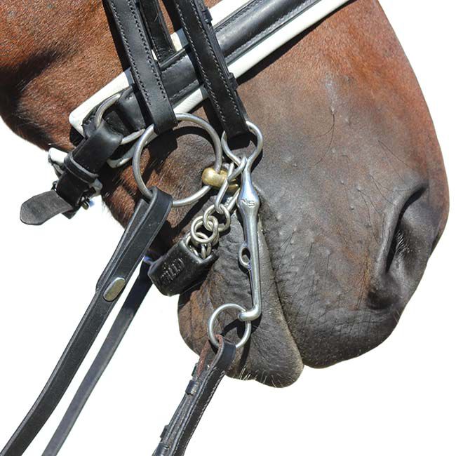 Neue Schule Starter Loose Ring Bradoon Bit image number null