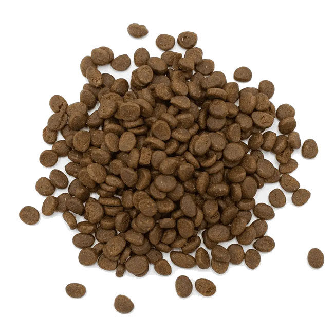 Oxbow Animal Health Essentials Ferret Food - 4 lb image number null