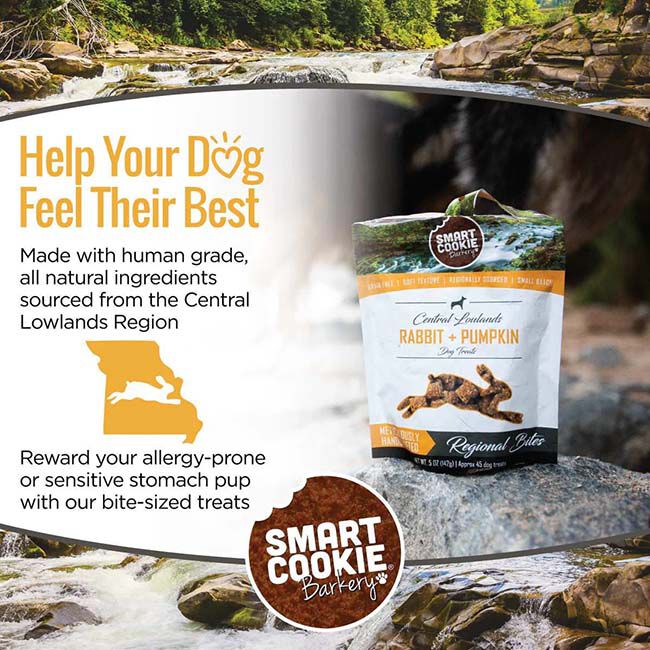 Smart Cookie Bakery Soft & Chewy Dog Treats - Rabbit & Pumpkin - 5 oz image number null
