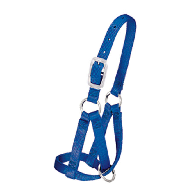 Weaver Llama Halter image number null