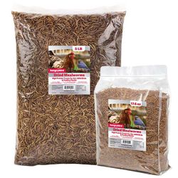 Hungrybird Hungryhen Dried Mealworms