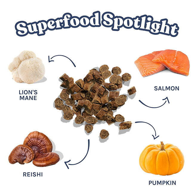 HealthyBud Mini Training Treats - Salmon Recipe - 6.5 oz image number null