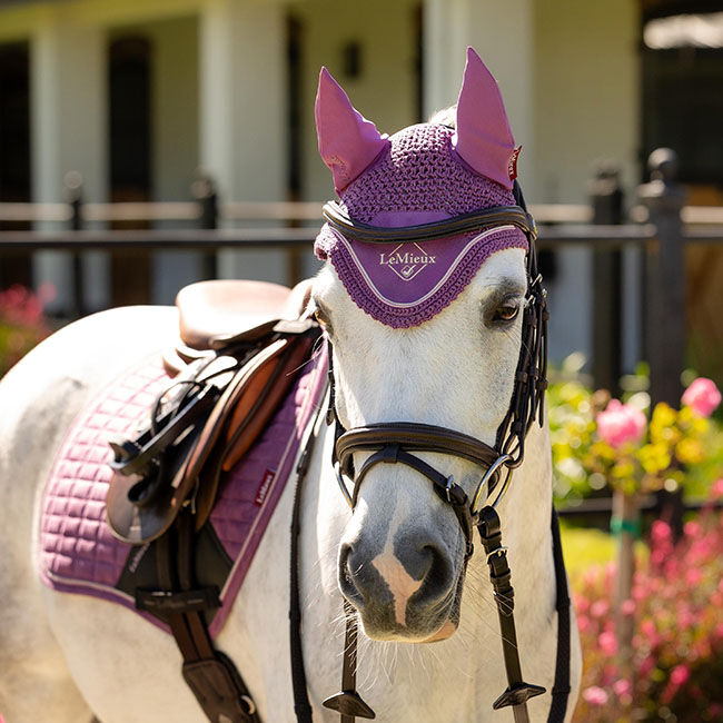 LeMieux Mini Classic Ear Net - Mallow image number null